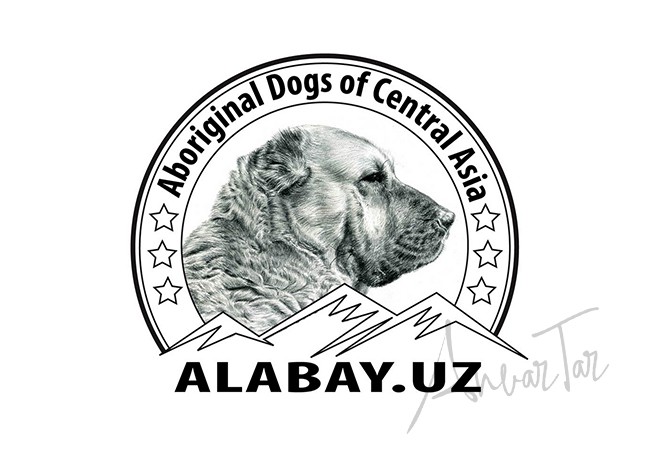 Логотип для Авиакассы OGS